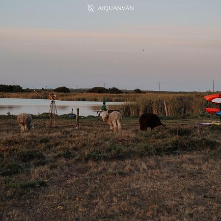 Coorong Island Retreat - Farm Stay At Pet Friendly Property Meningie Zewnętrze zdjęcie