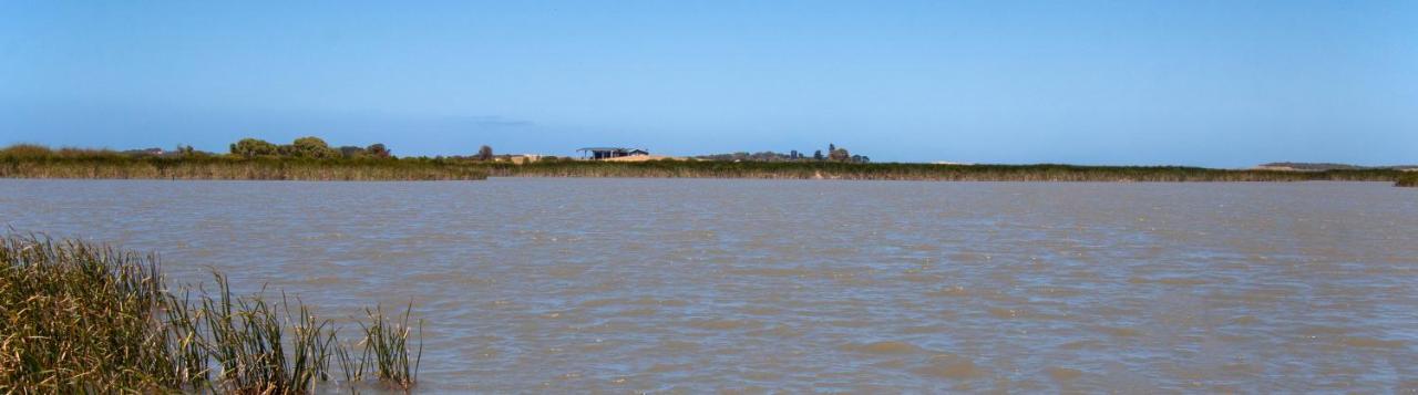 Coorong Island Retreat - Farm Stay At Pet Friendly Property Meningie Zewnętrze zdjęcie