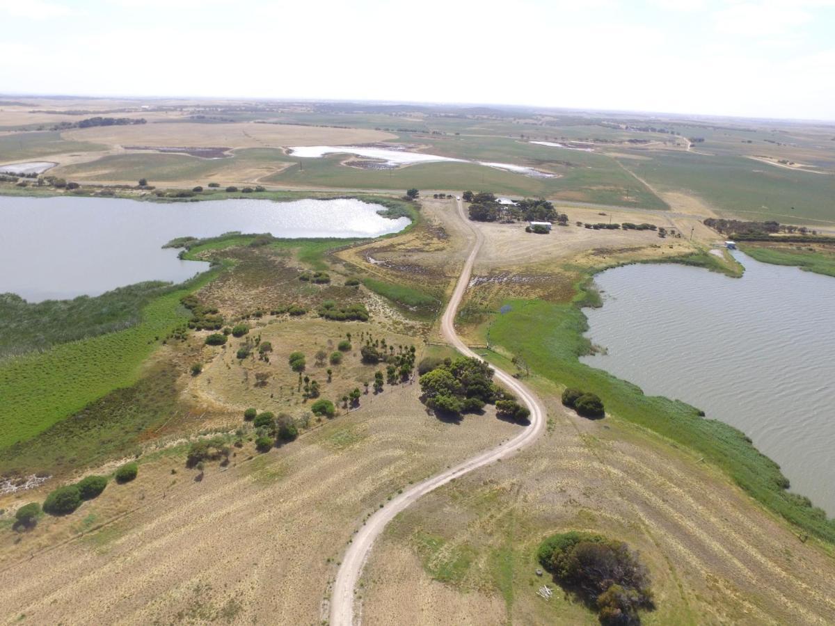 Coorong Island Retreat - Farm Stay At Pet Friendly Property Meningie Zewnętrze zdjęcie