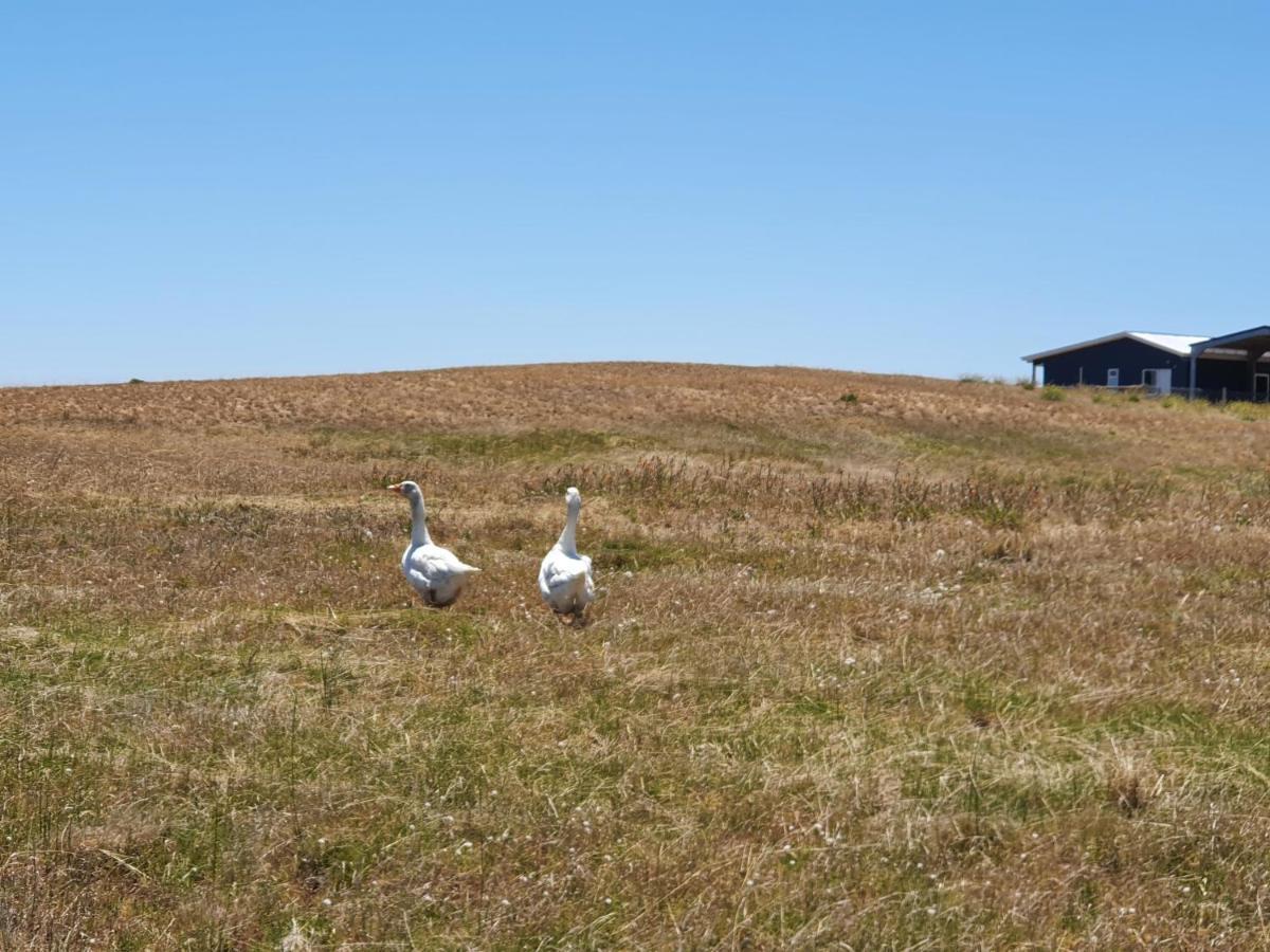 Coorong Island Retreat - Farm Stay At Pet Friendly Property Meningie Zewnętrze zdjęcie