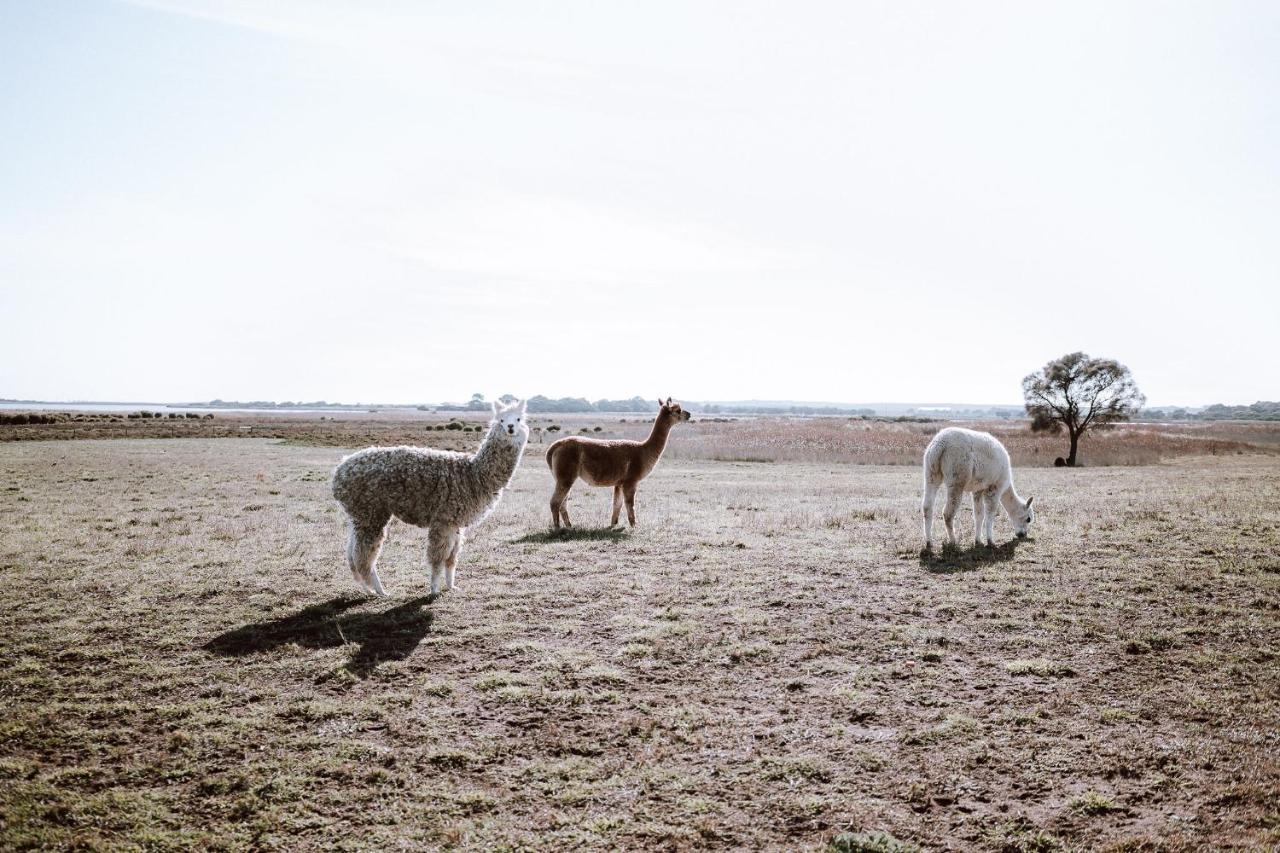 Coorong Island Retreat - Farm Stay At Pet Friendly Property Meningie Zewnętrze zdjęcie
